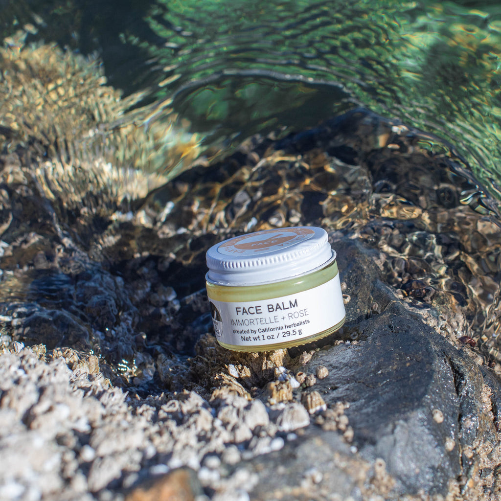 Best Seller! Immortelle + Rose Face Balm