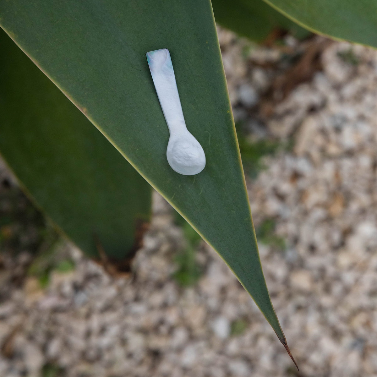 Face Balm + Mother of Pearl Spoon