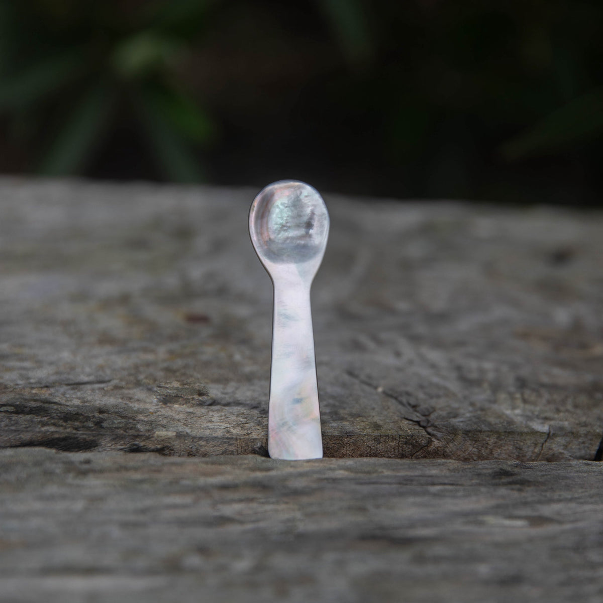 Leaves & Wood Solid Perfume Balm + Mother of Pearl Spoon